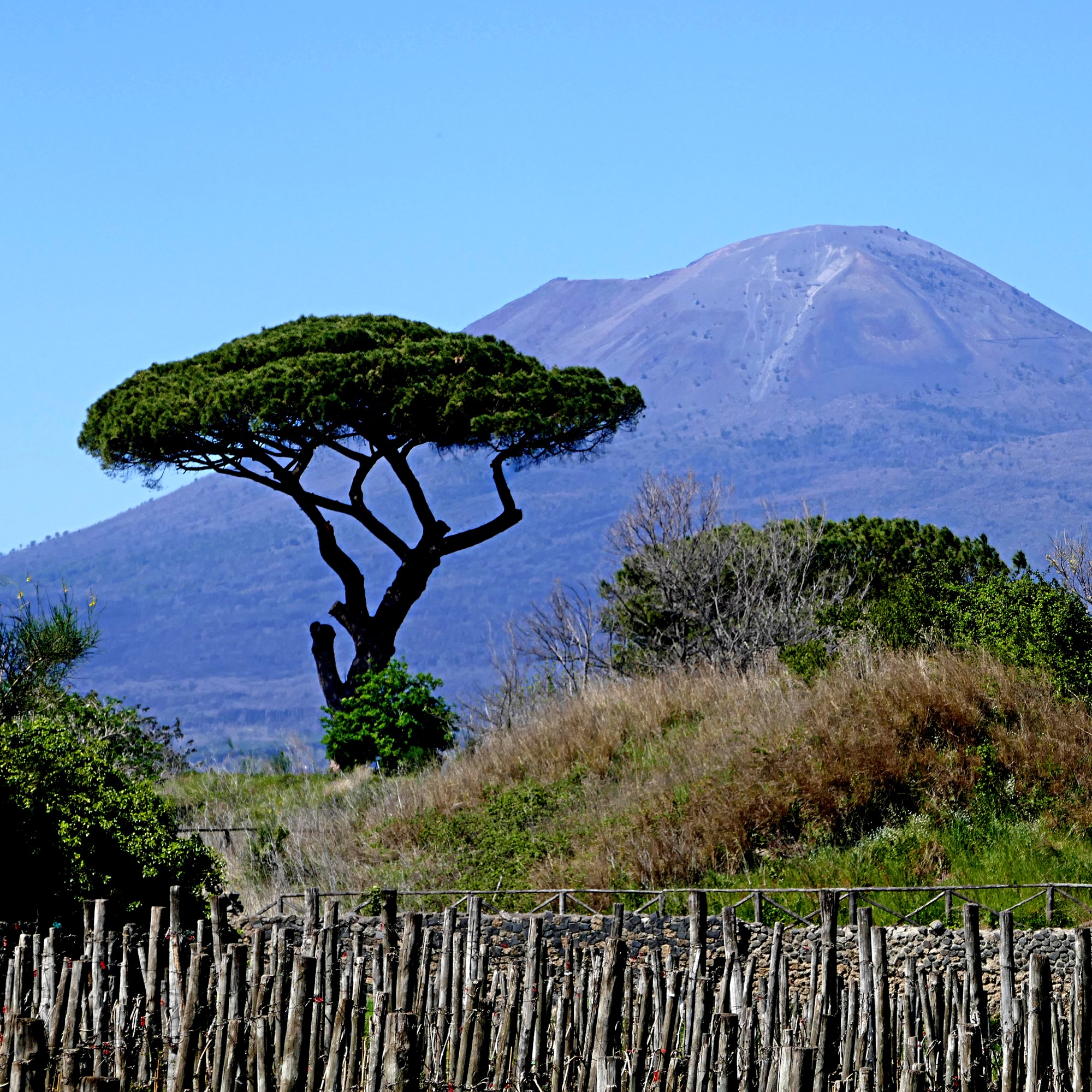 Il Vesuvio